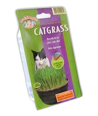 Catnip Grass